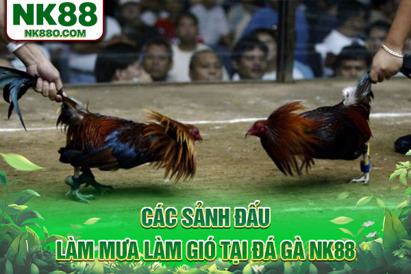 Các sảnh đấu làm mưa làm gió tại đá gà NK88