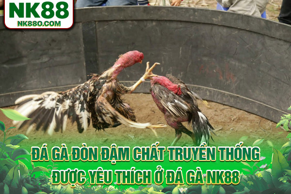 Đá gà đòn đậm chất truyền thống được yêu thích ở đá gà NK88